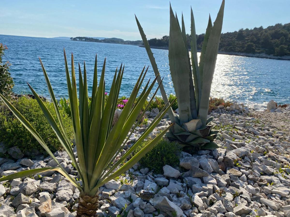 Apartment Agnes With 63 M2 Rooftop Terrace, Grill And Pool Okrug Gornji Exteriör bild